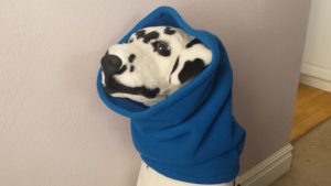 Designer Dog Accessories for cold weather