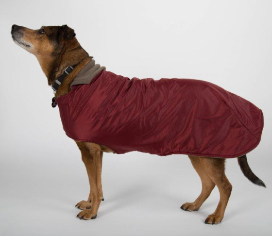 Boulder winter coat for dogs