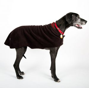 Designer Dog Sweater - Smart Sweater