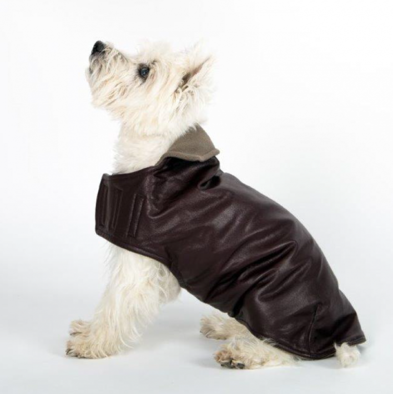 Winter and Weather Resistant Dog Coats by MountainMutt