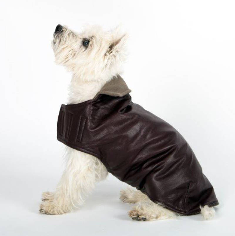 dog leather coat
