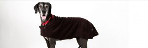 Designer Dog Sweater
