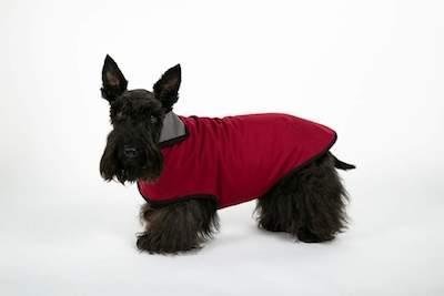 handmade dog coats