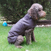 Testimonials Dog Coat
